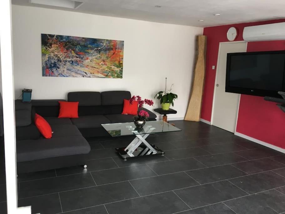 הוילה זלסטאט Loft Le Nid De Cigogne מראה חיצוני תמונה